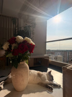 Photo de Clementine_7