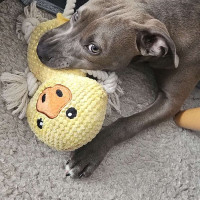 Photo de @quentinbrr